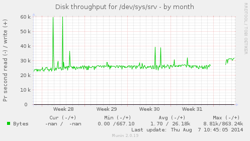 Disk throughput for /dev/sys/srv